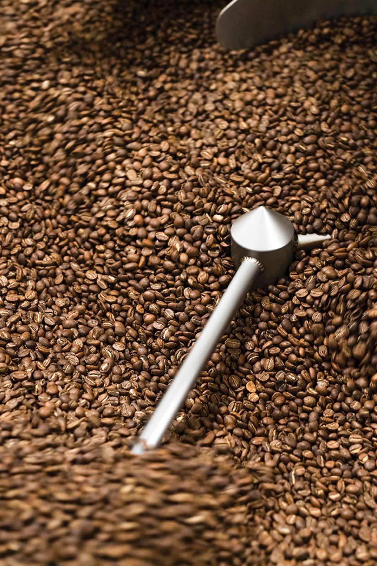 Coffee beans turning in a roaster drum